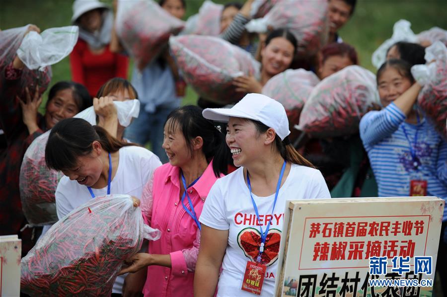 （新华全媒头条·图文互动）（11）书写新的转折——写在革命老区遵义全面脱贫之际