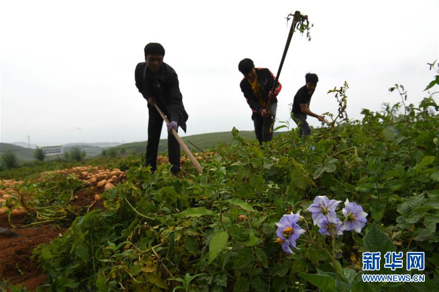 （新华全媒头条·走向我们的小康生活·决战决胜脱贫攻坚·图文互动）（6）昭通之变——全国贫困人口最多的地级市跨越记