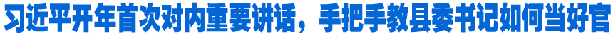 习近平开年首次对内重要讲话，手把手教县委书记如何当好官