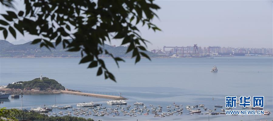 （上合青岛峰会）（11）青岛：花满岛城待宾朋