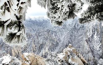 华山雪后更娇艳